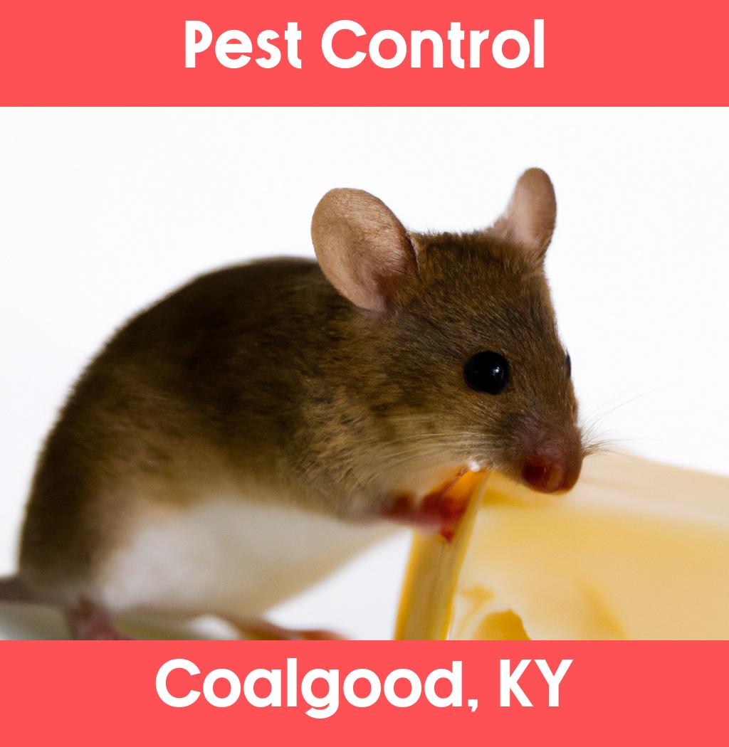 pest control in Coalgood Kentucky