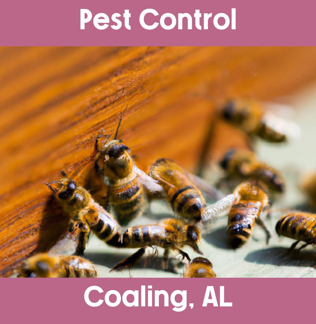 pest control in Coaling Alabama