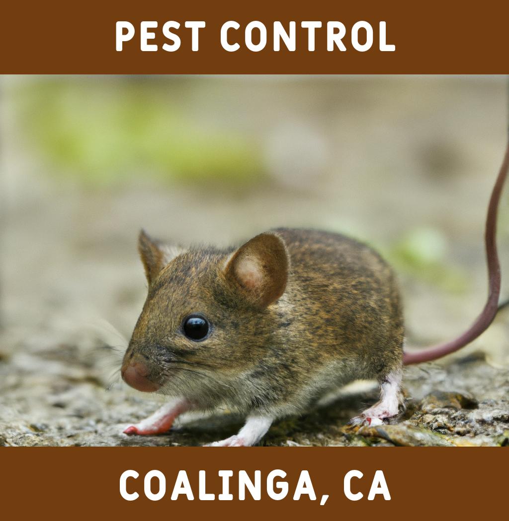 pest control in Coalinga California