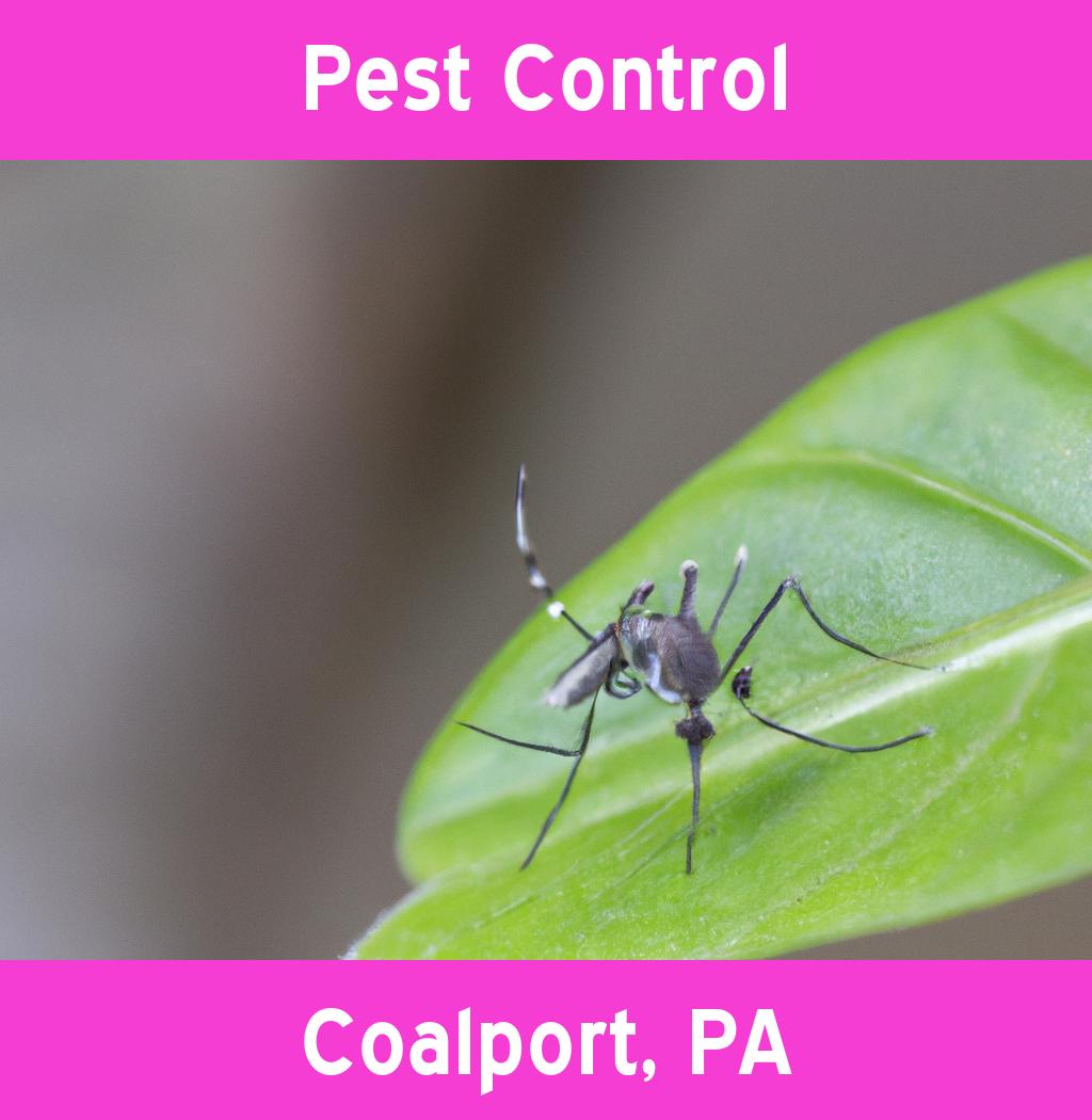 pest control in Coalport Pennsylvania