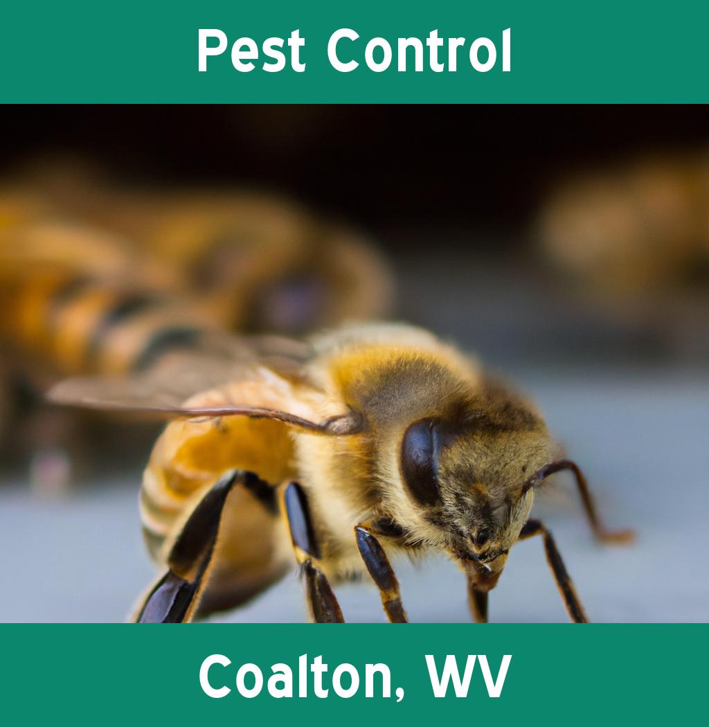 pest control in Coalton West Virginia