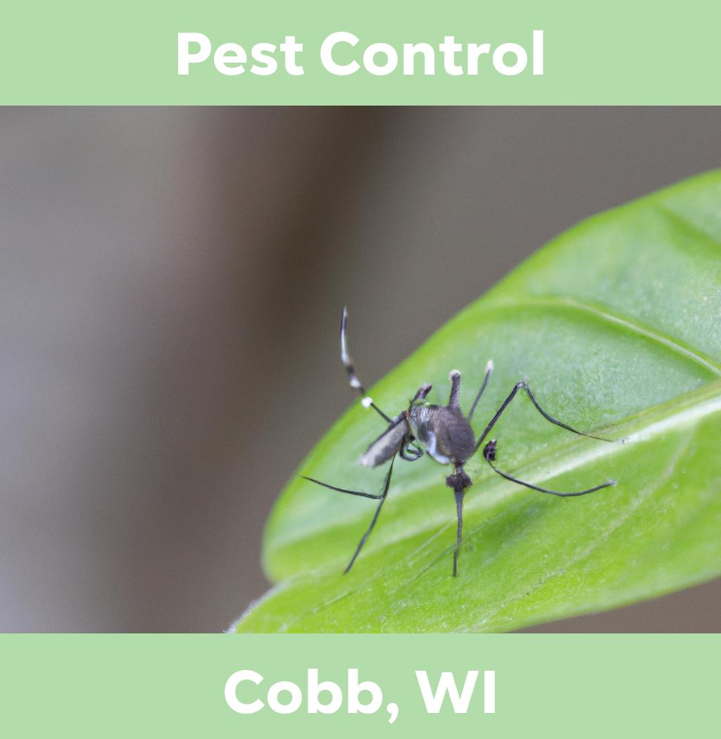 pest control in Cobb Wisconsin