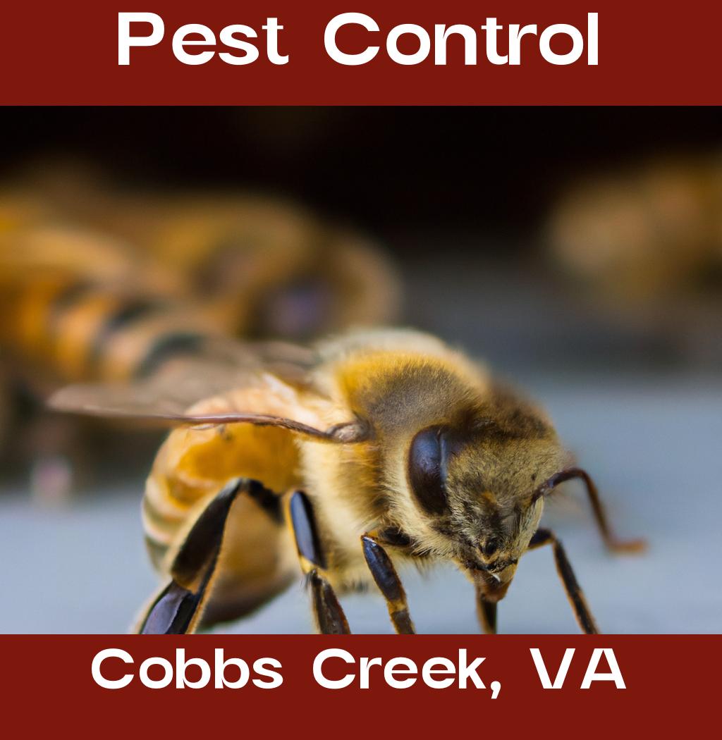 pest control in Cobbs Creek Virginia