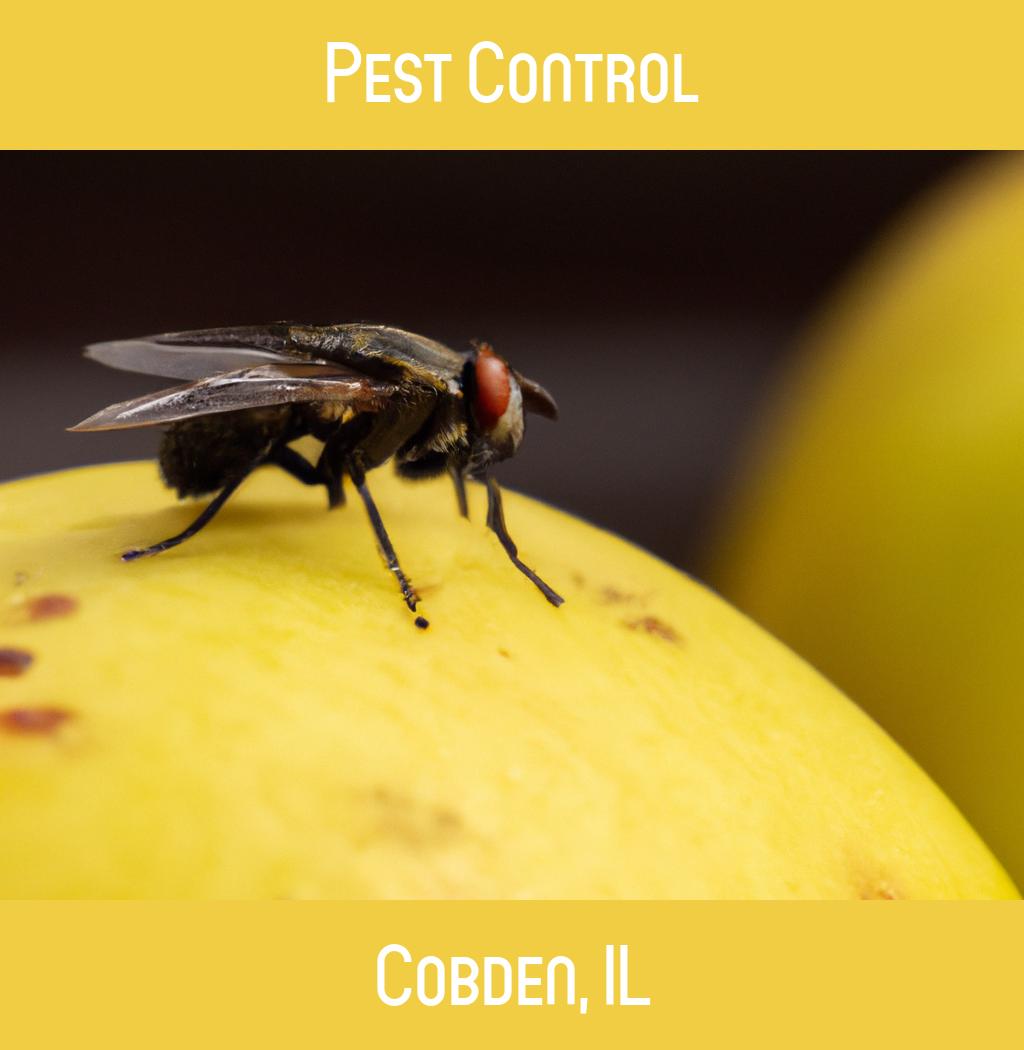 pest control in Cobden Illinois