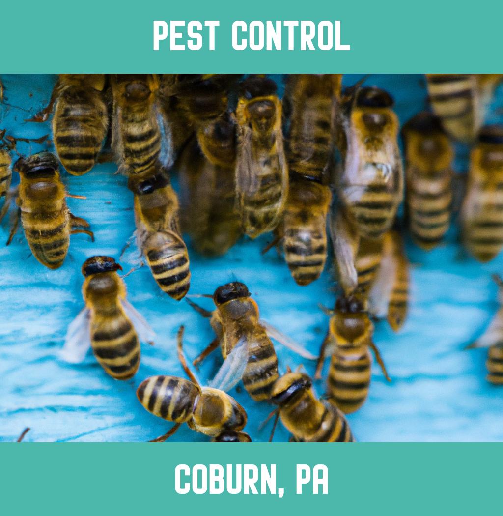 pest control in Coburn Pennsylvania