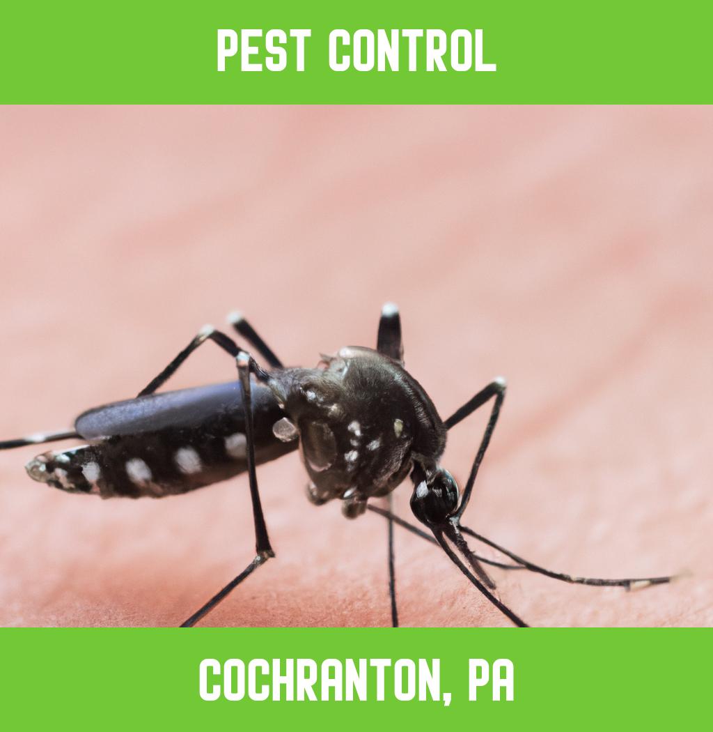 pest control in Cochranton Pennsylvania