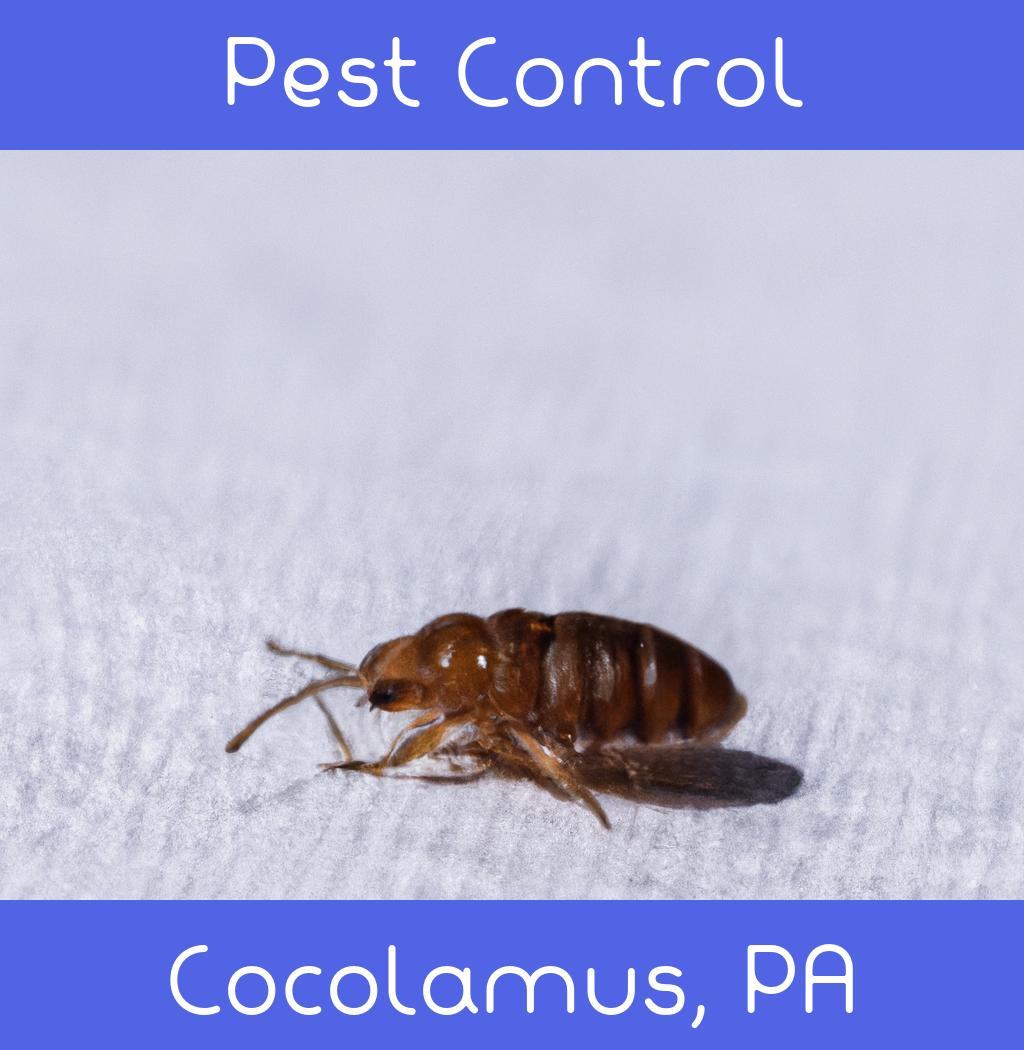 pest control in Cocolamus Pennsylvania