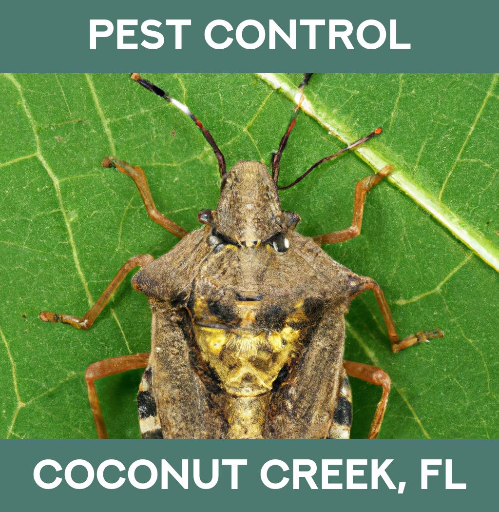 pest control in Coconut Creek Florida