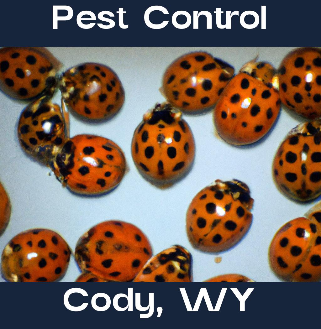 pest control in Cody Wyoming