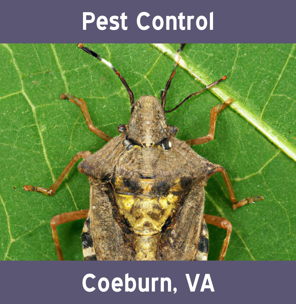 pest control in Coeburn Virginia