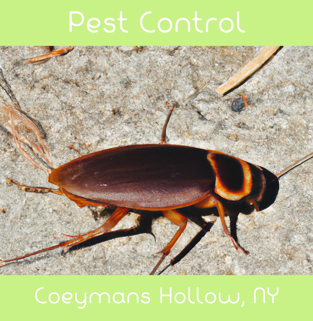 pest control in Coeymans Hollow New York