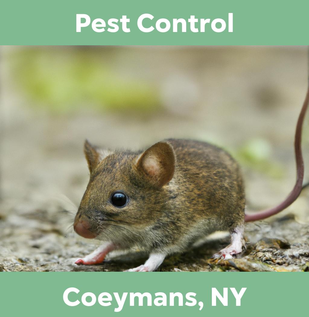 pest control in Coeymans New York