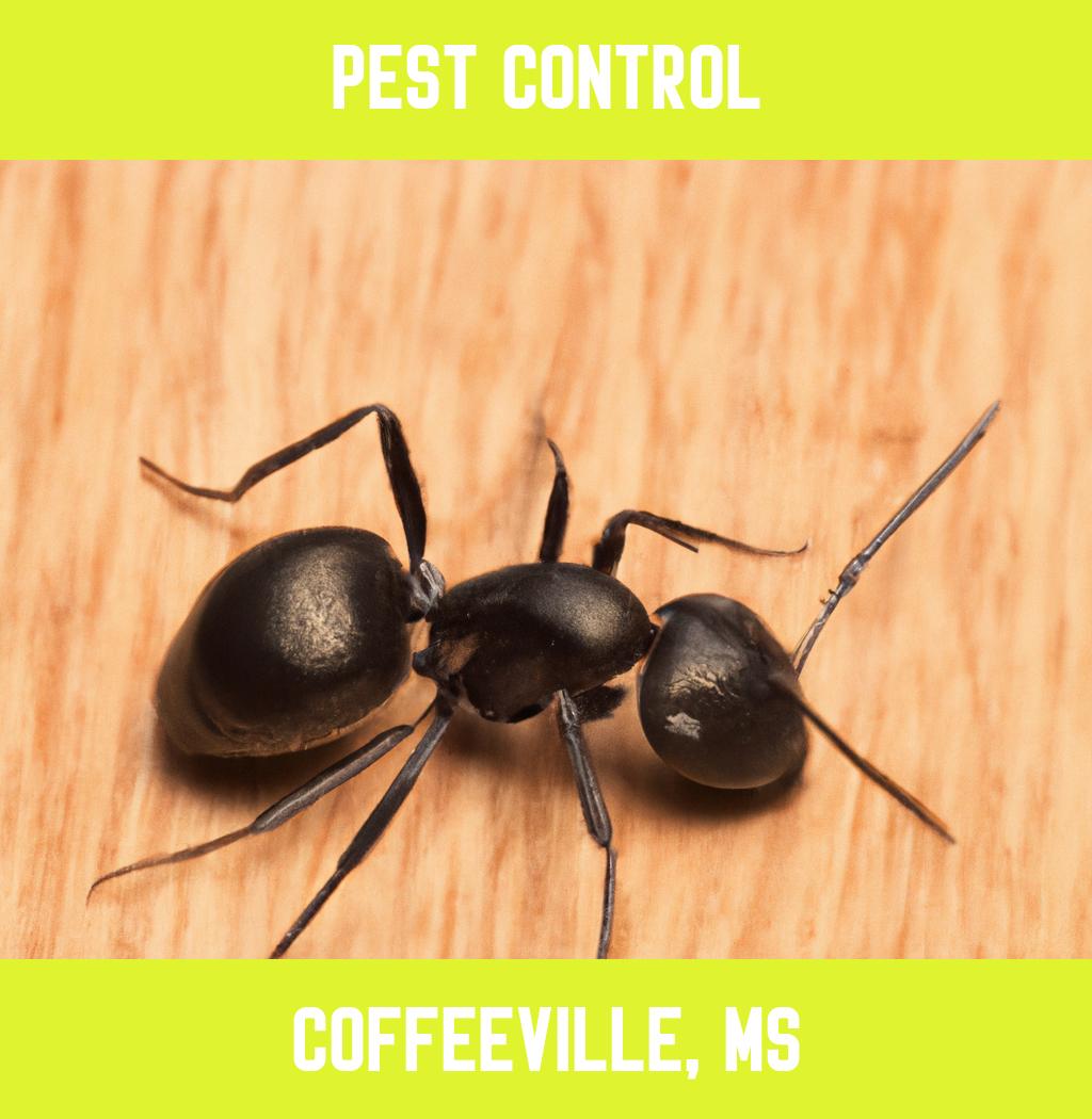 pest control in Coffeeville Mississippi