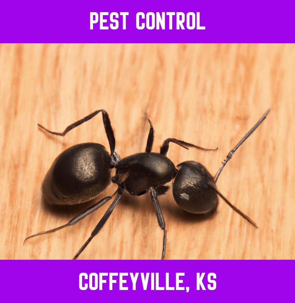 pest control in Coffeyville Kansas