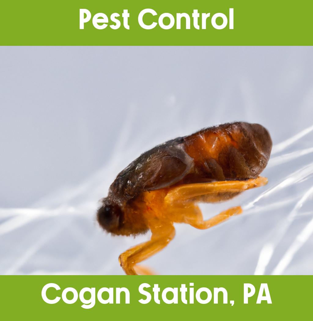 pest control in Cogan Station Pennsylvania