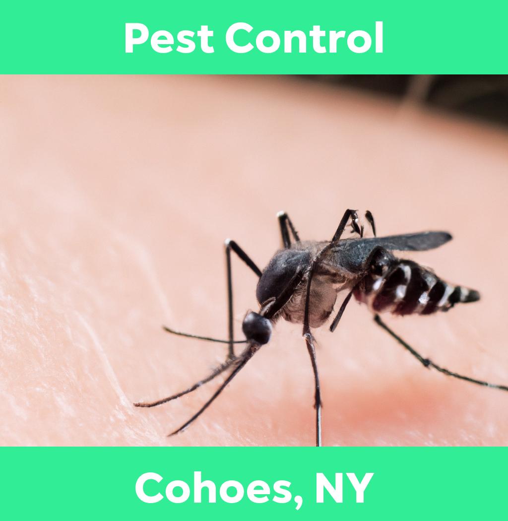 pest control in Cohoes New York
