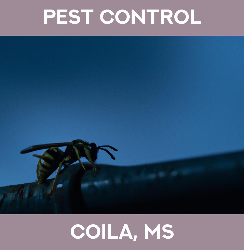 pest control in Coila Mississippi