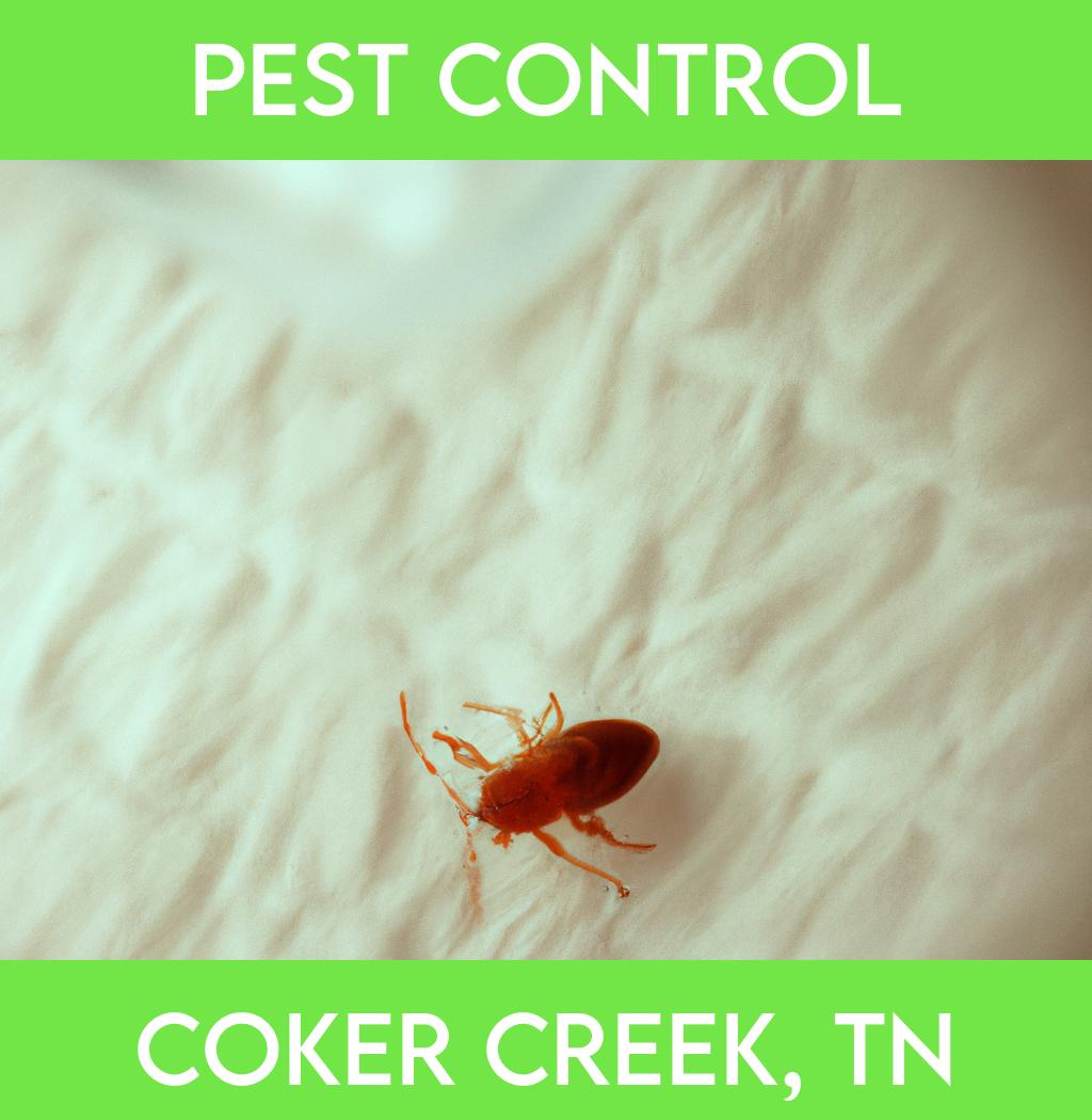 pest control in Coker Creek Tennessee
