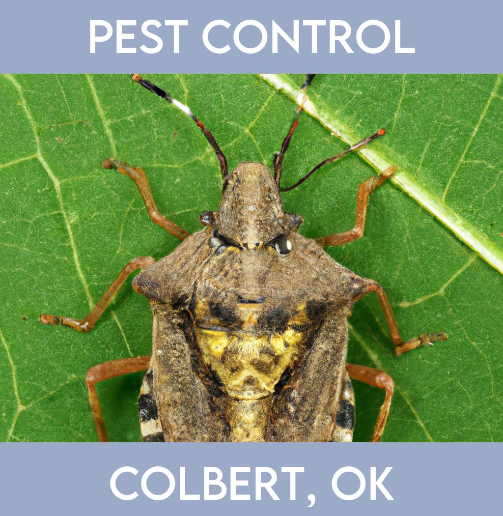 pest control in Colbert Oklahoma