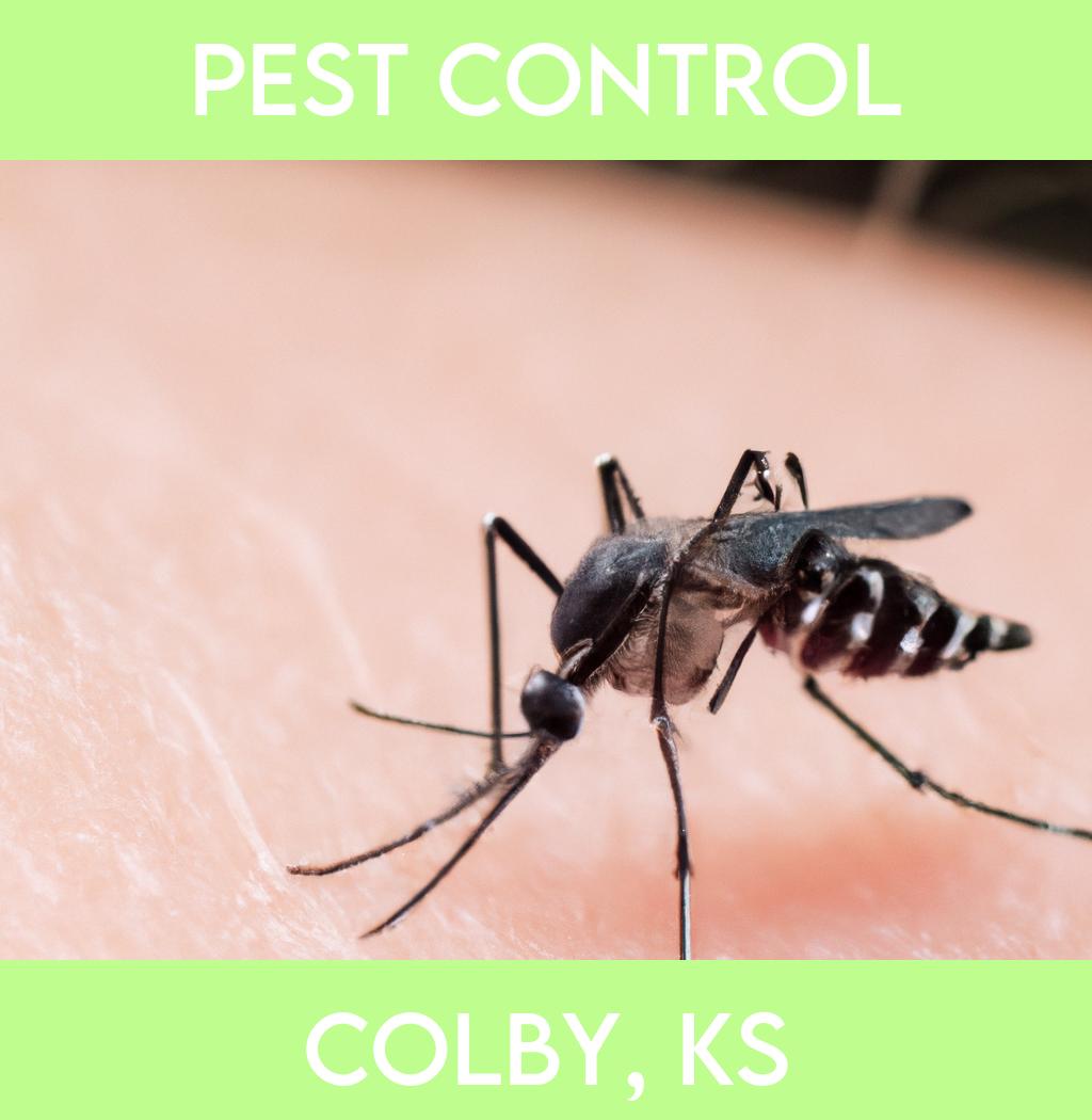 pest control in Colby Kansas