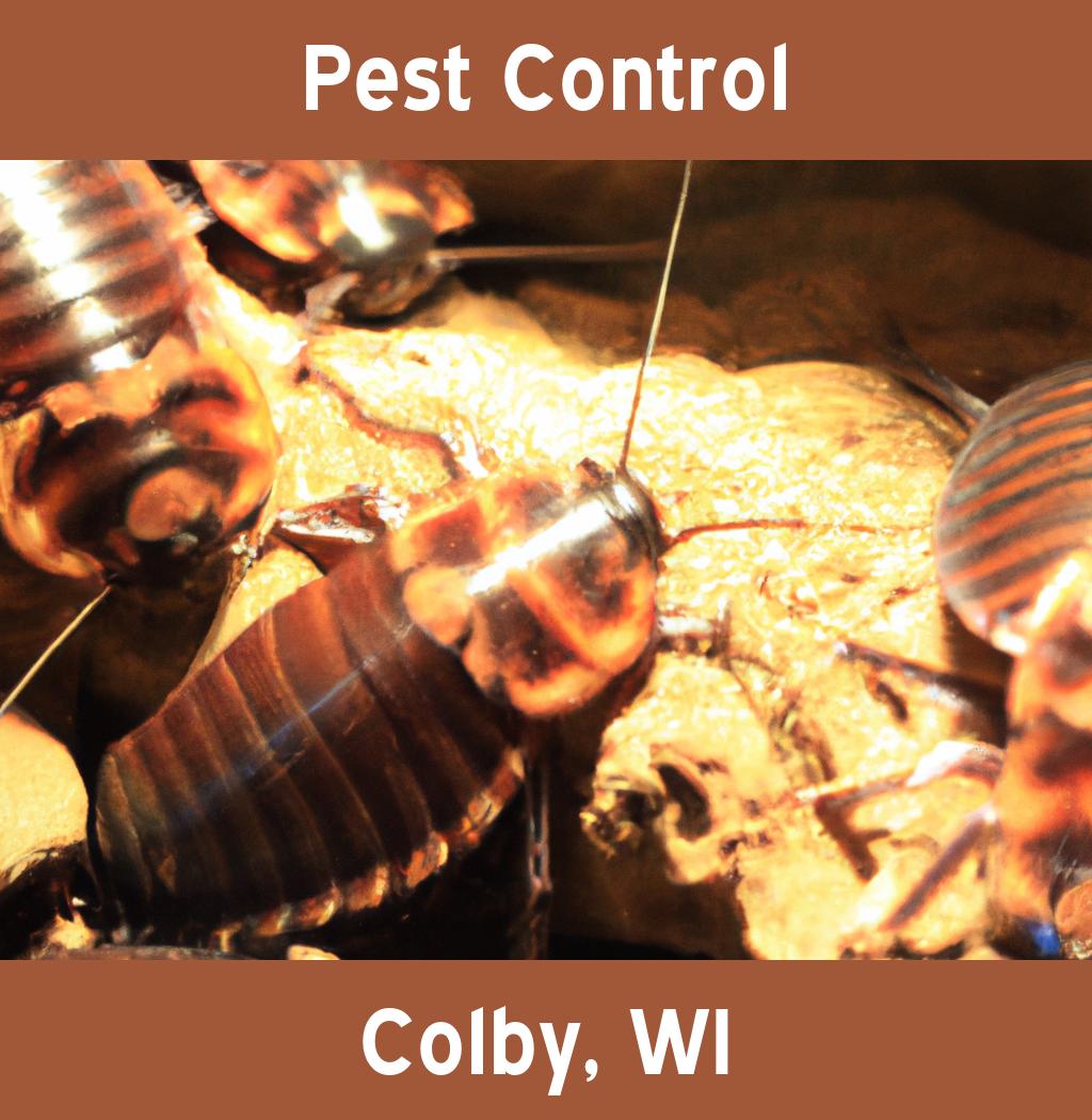 pest control in Colby Wisconsin