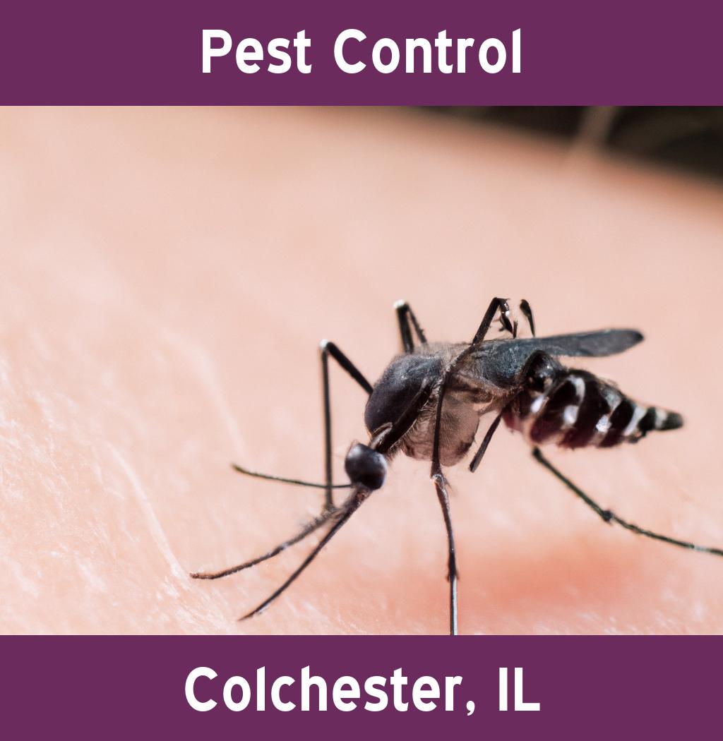 pest control in Colchester Illinois
