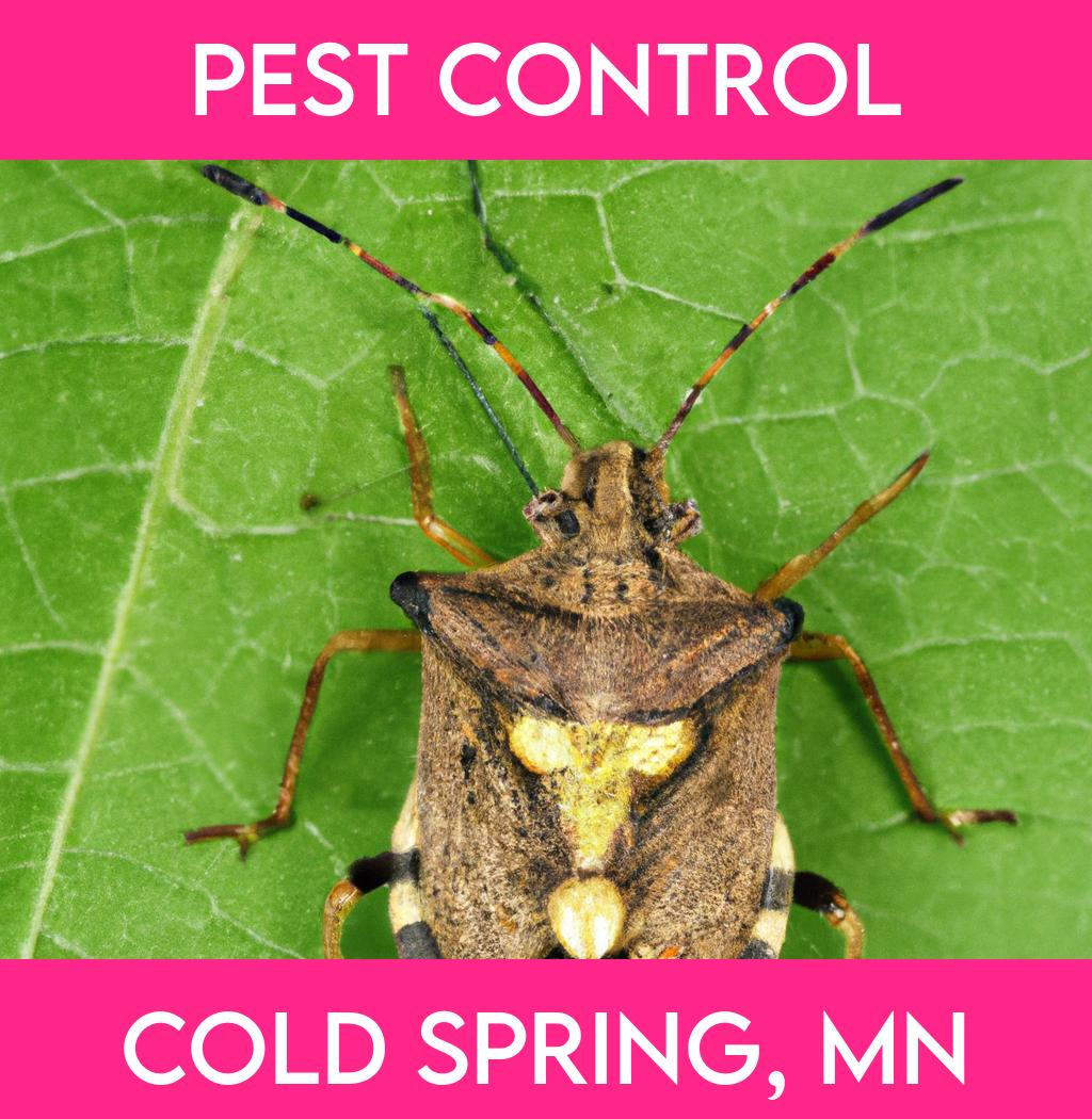 pest control in Cold Spring Minnesota