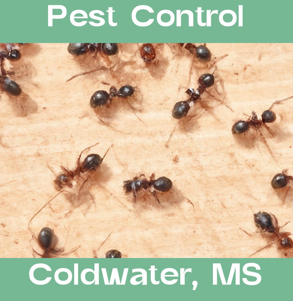 pest control in Coldwater Mississippi