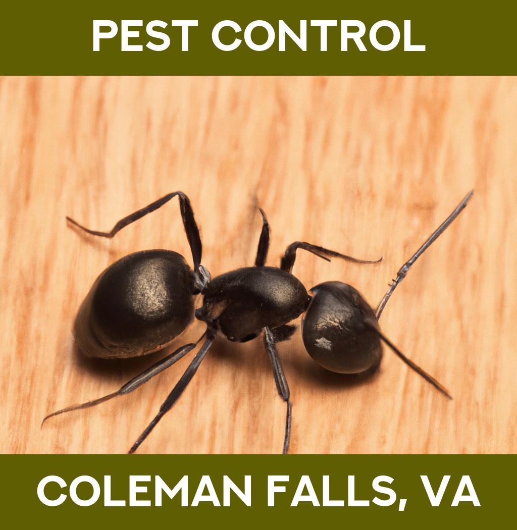pest control in Coleman Falls Virginia
