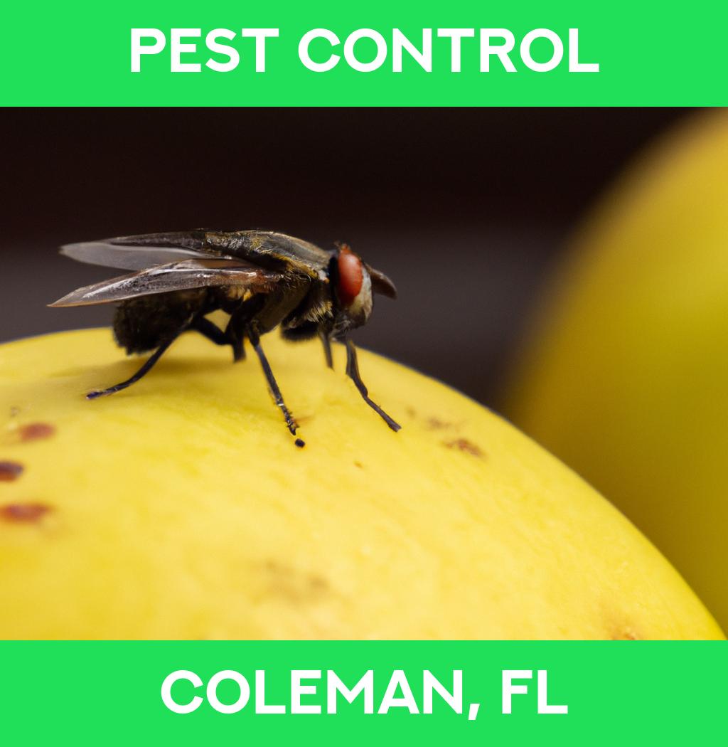 pest control in Coleman Florida