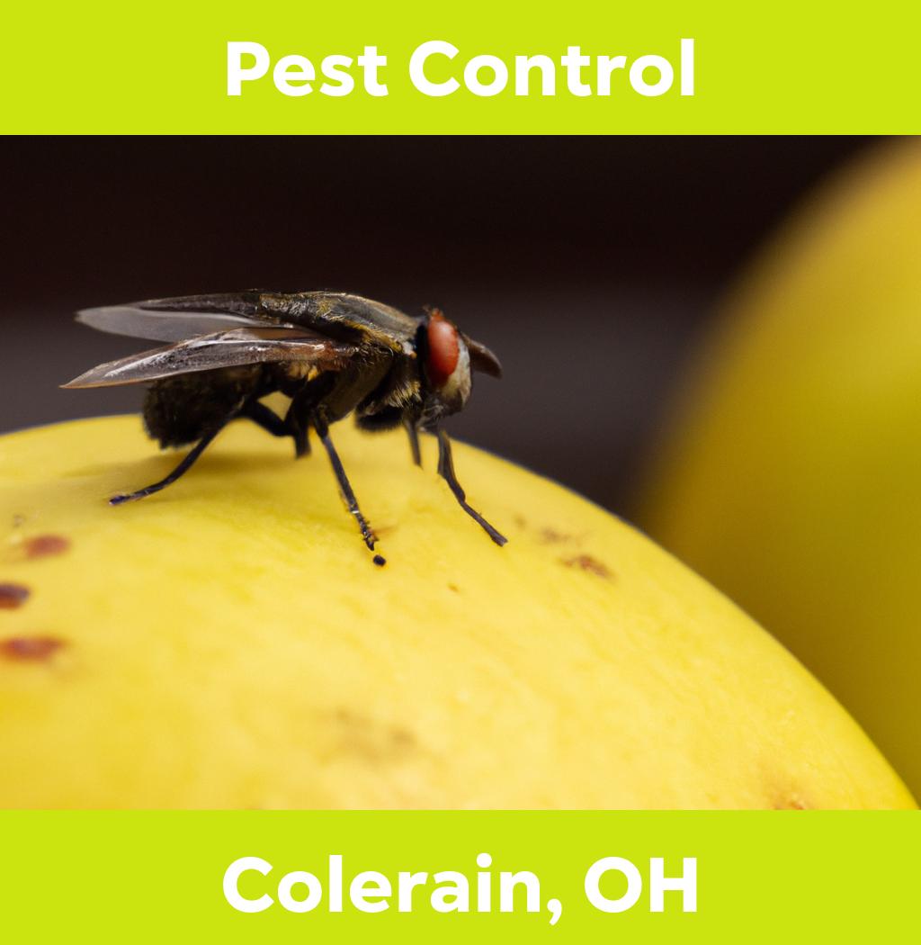 pest control in Colerain Ohio