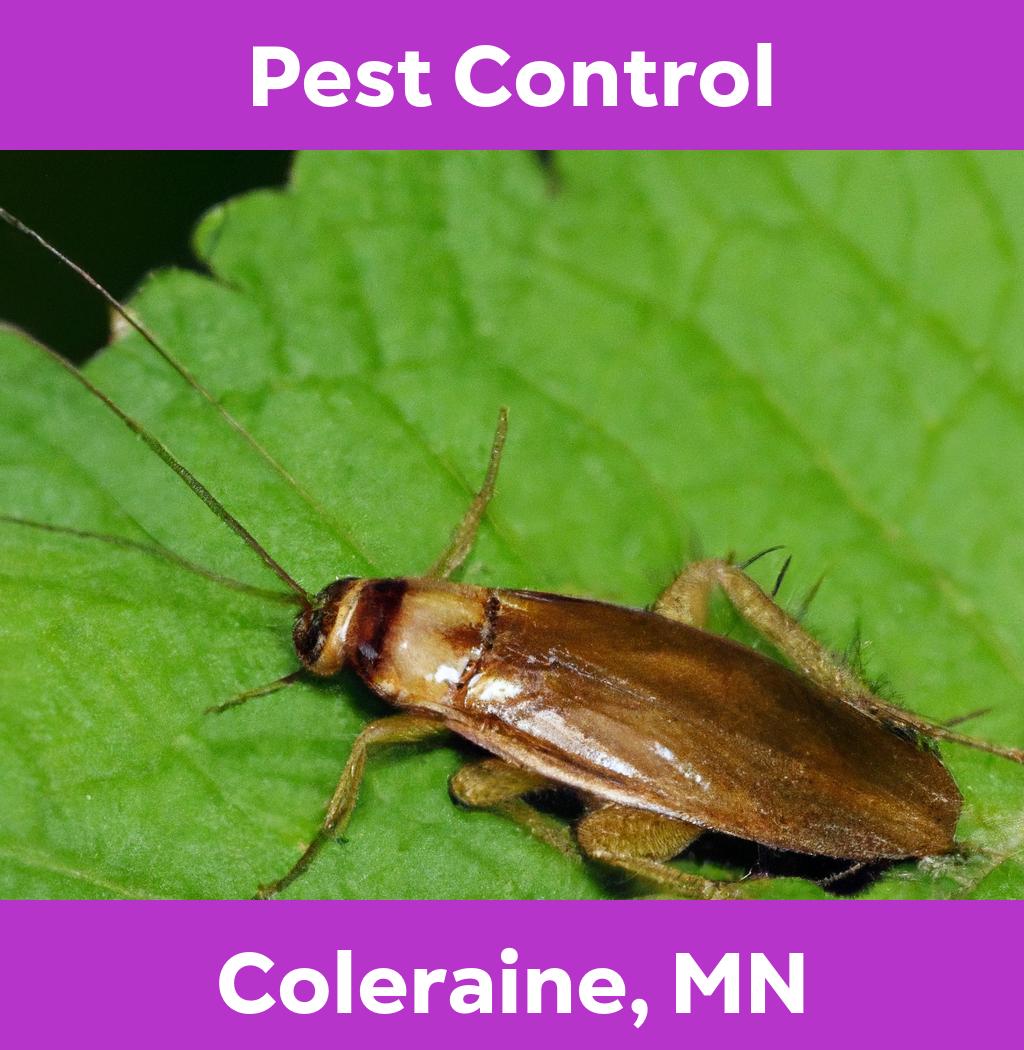 pest control in Coleraine Minnesota