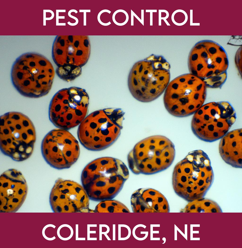 pest control in Coleridge Nebraska