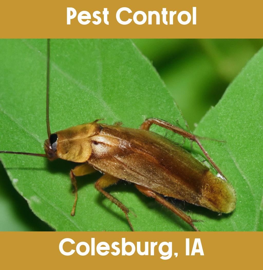 pest control in Colesburg Iowa