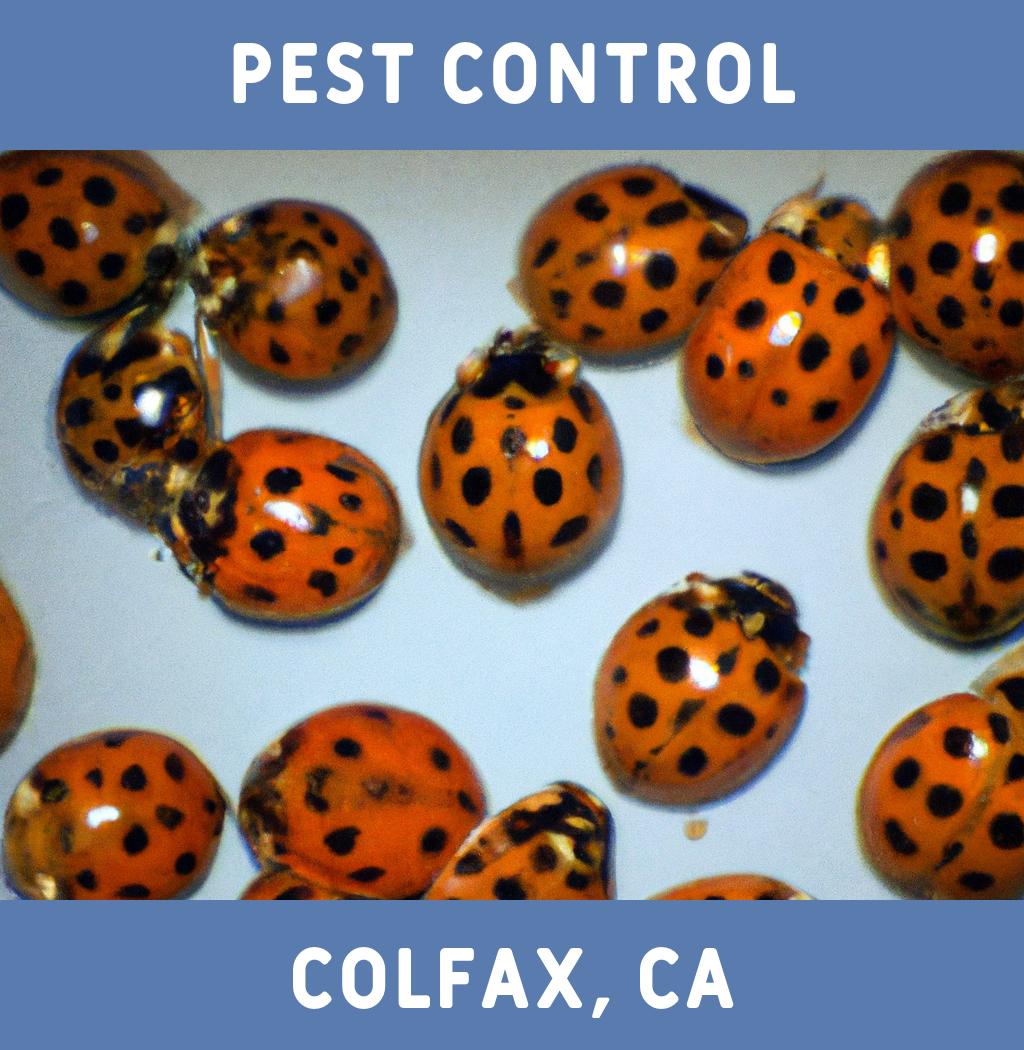 pest control in Colfax California