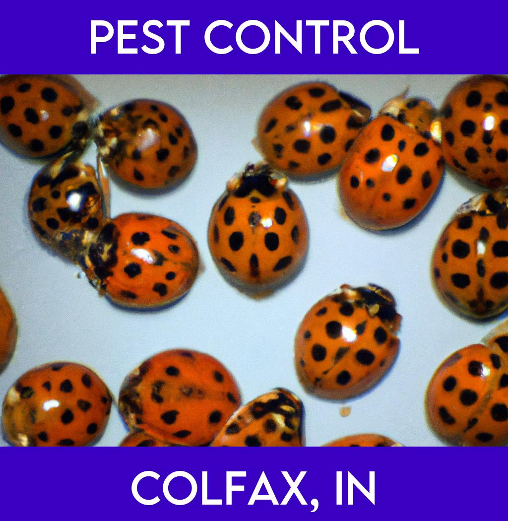 pest control in Colfax Indiana