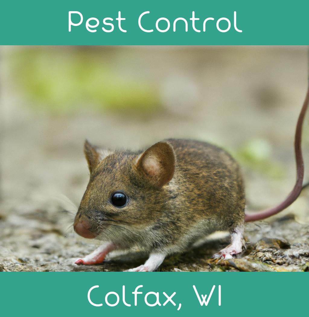 pest control in Colfax Wisconsin