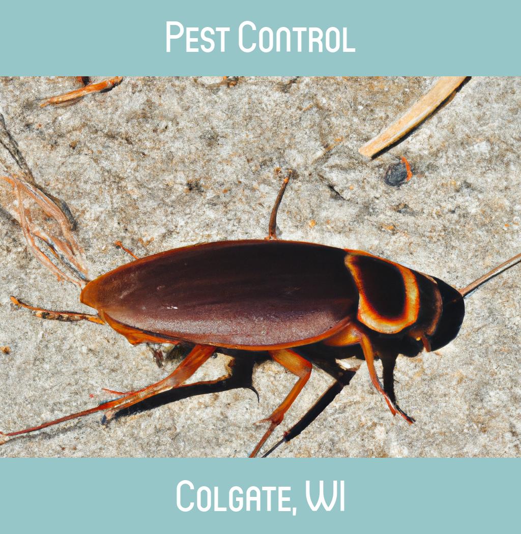 pest control in Colgate Wisconsin