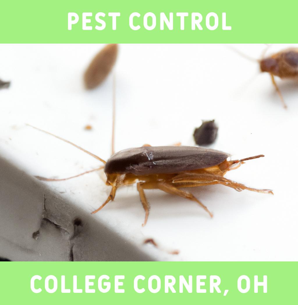 pest control in College Corner Ohio
