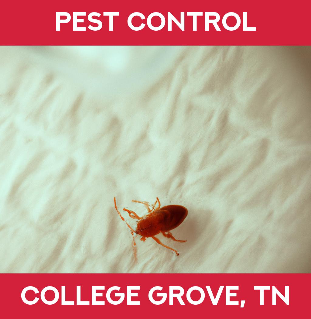 pest control in College Grove Tennessee