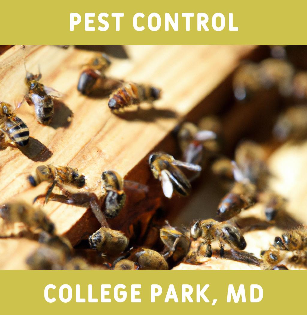 pest control in College Park Maryland