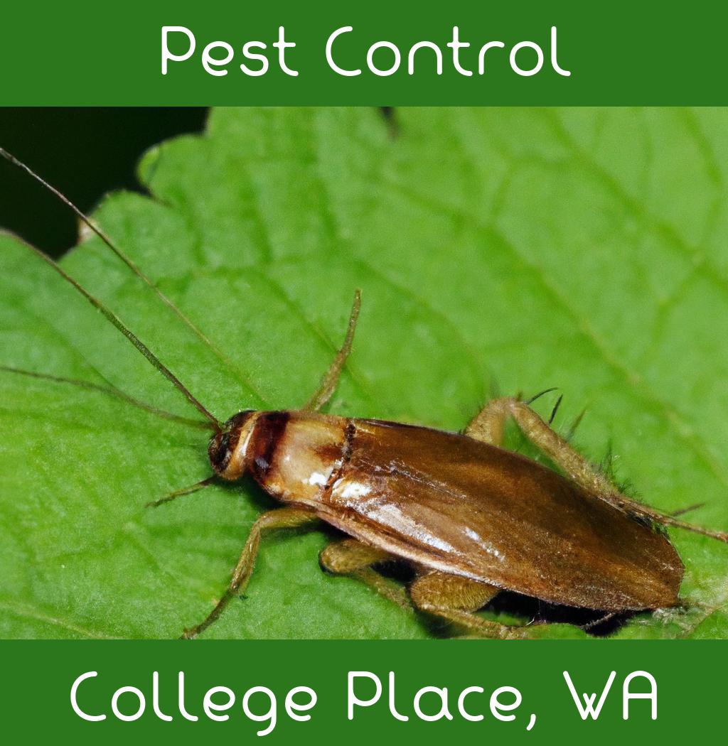 pest control in College Place Washington