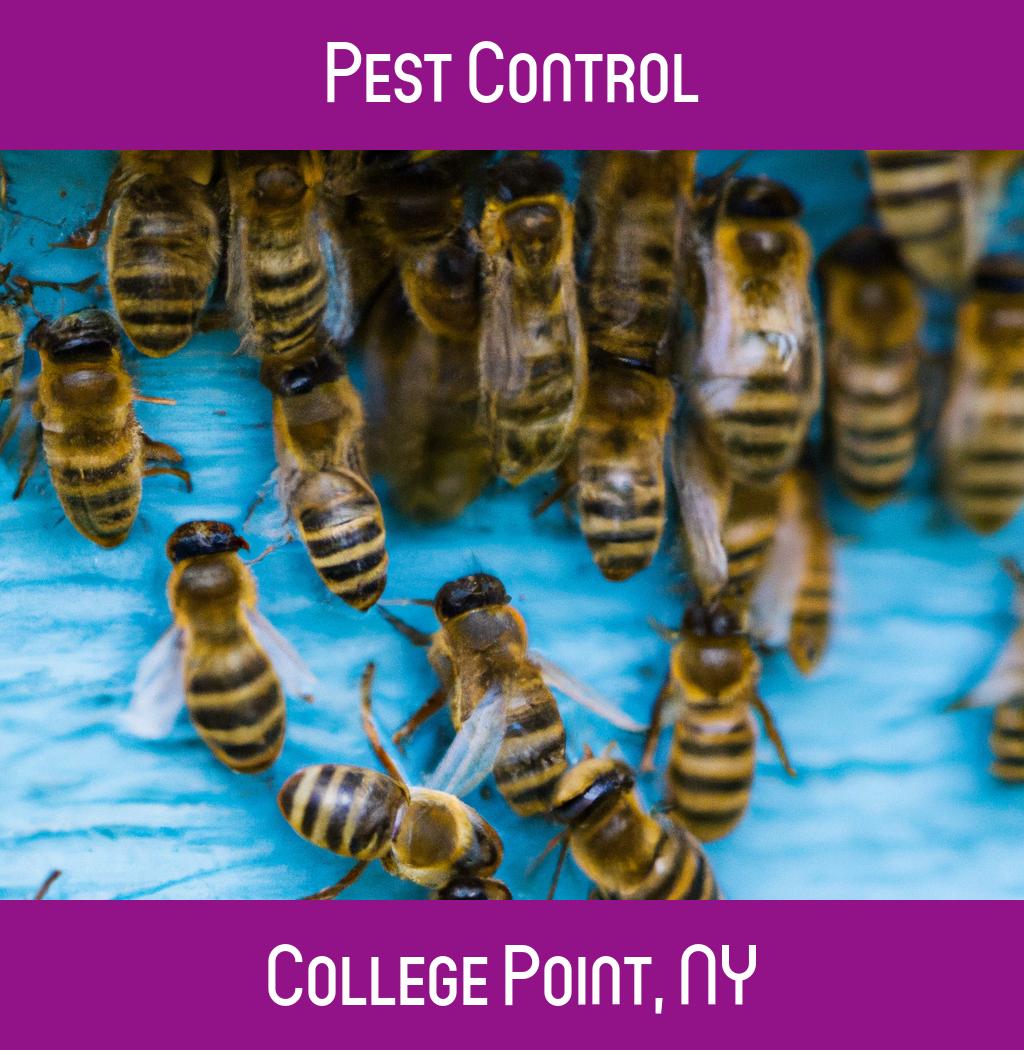 pest control in College Point New York