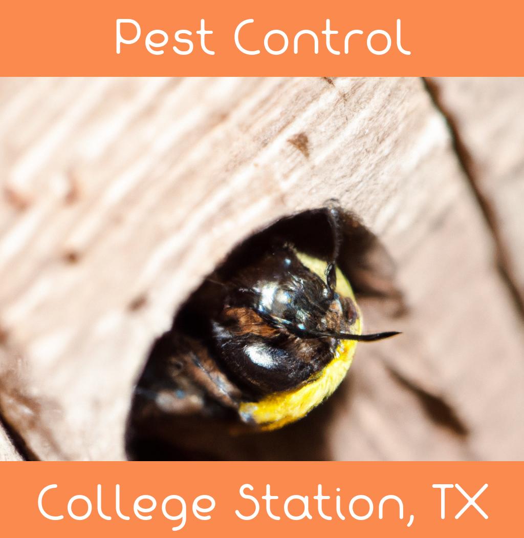 pest control in College Station Texas