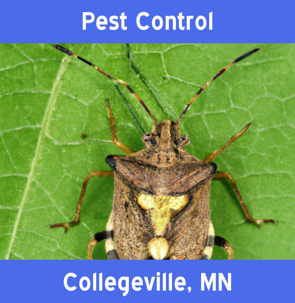 pest control in Collegeville Minnesota