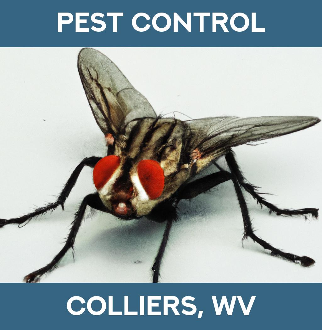 pest control in Colliers West Virginia