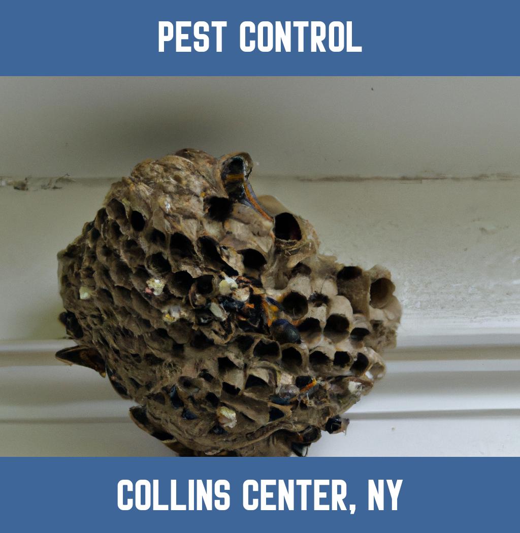 pest control in Collins Center New York