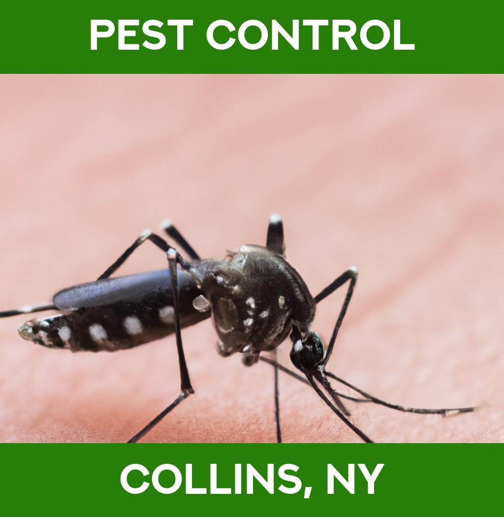 pest control in Collins New York