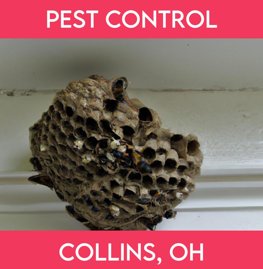 pest control in Collins Ohio