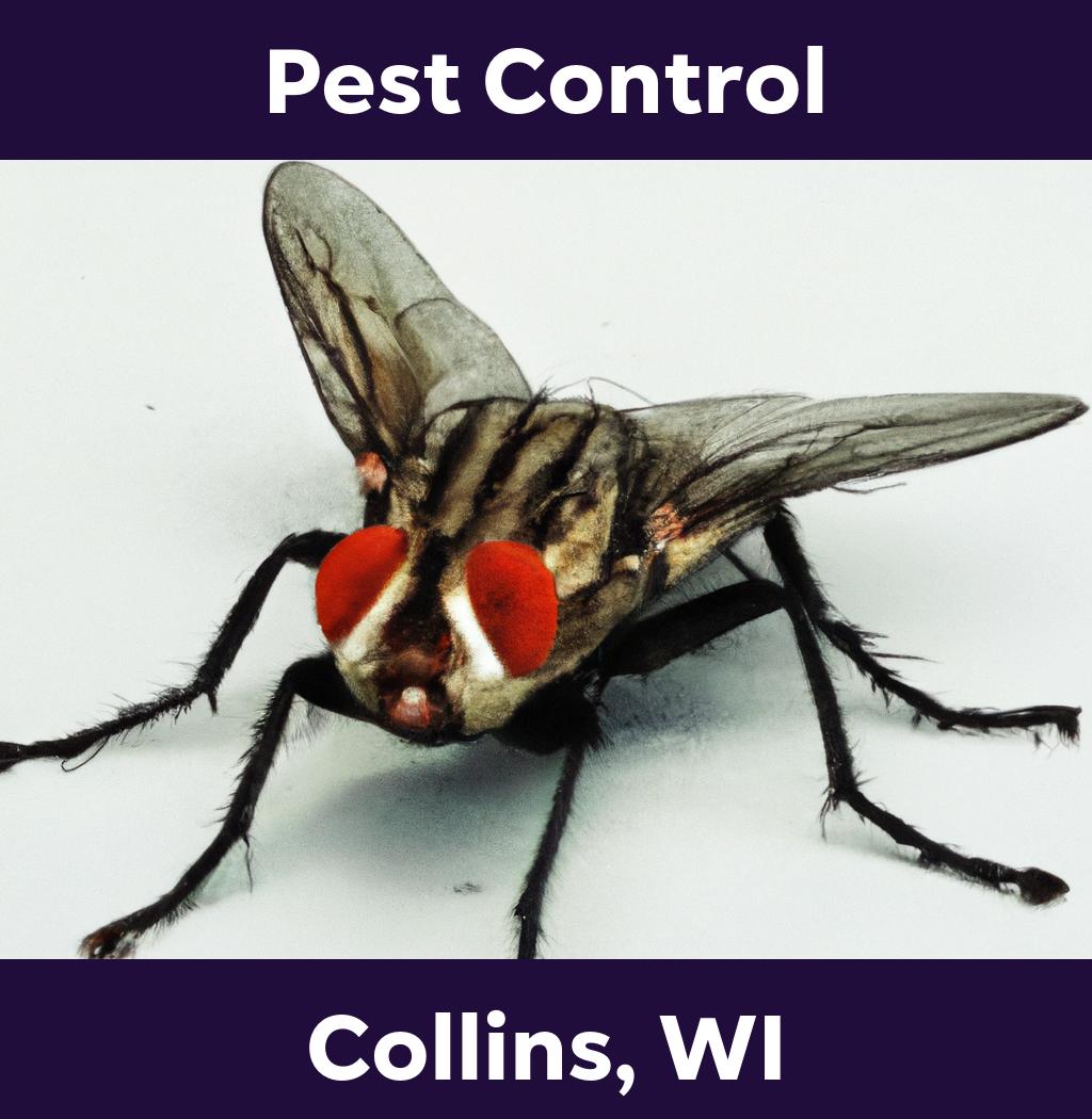 pest control in Collins Wisconsin